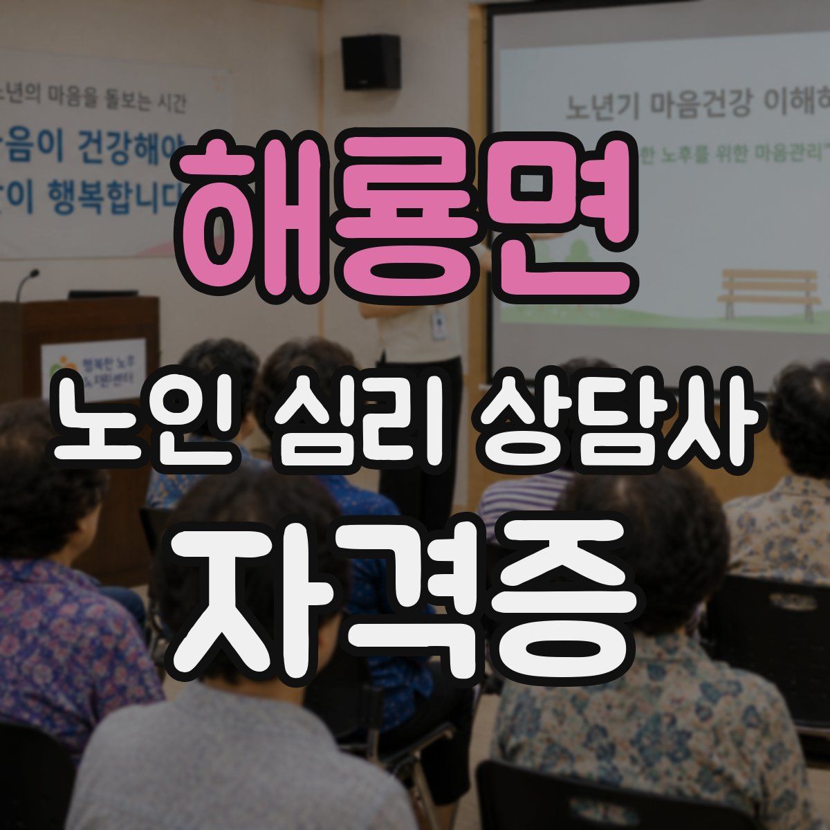 해룡면 노인 심리 상담사 자격증