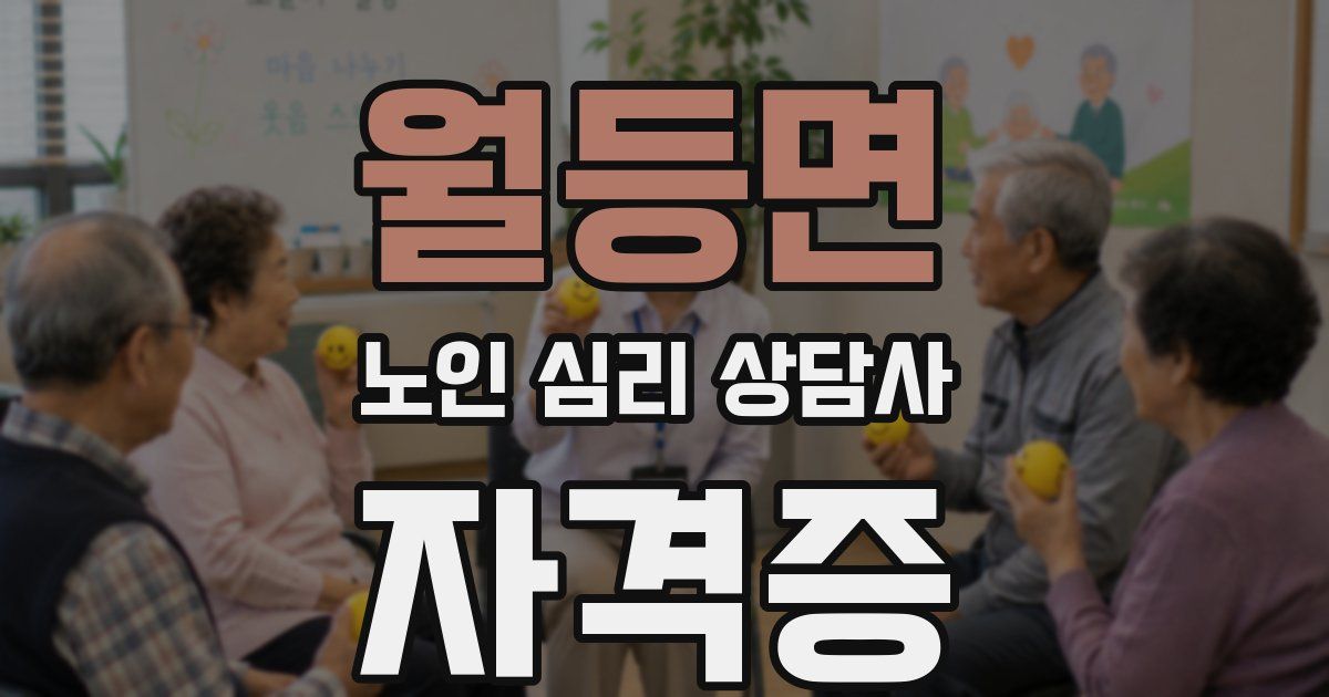 월등면 노인 심리 상담사 자격증
