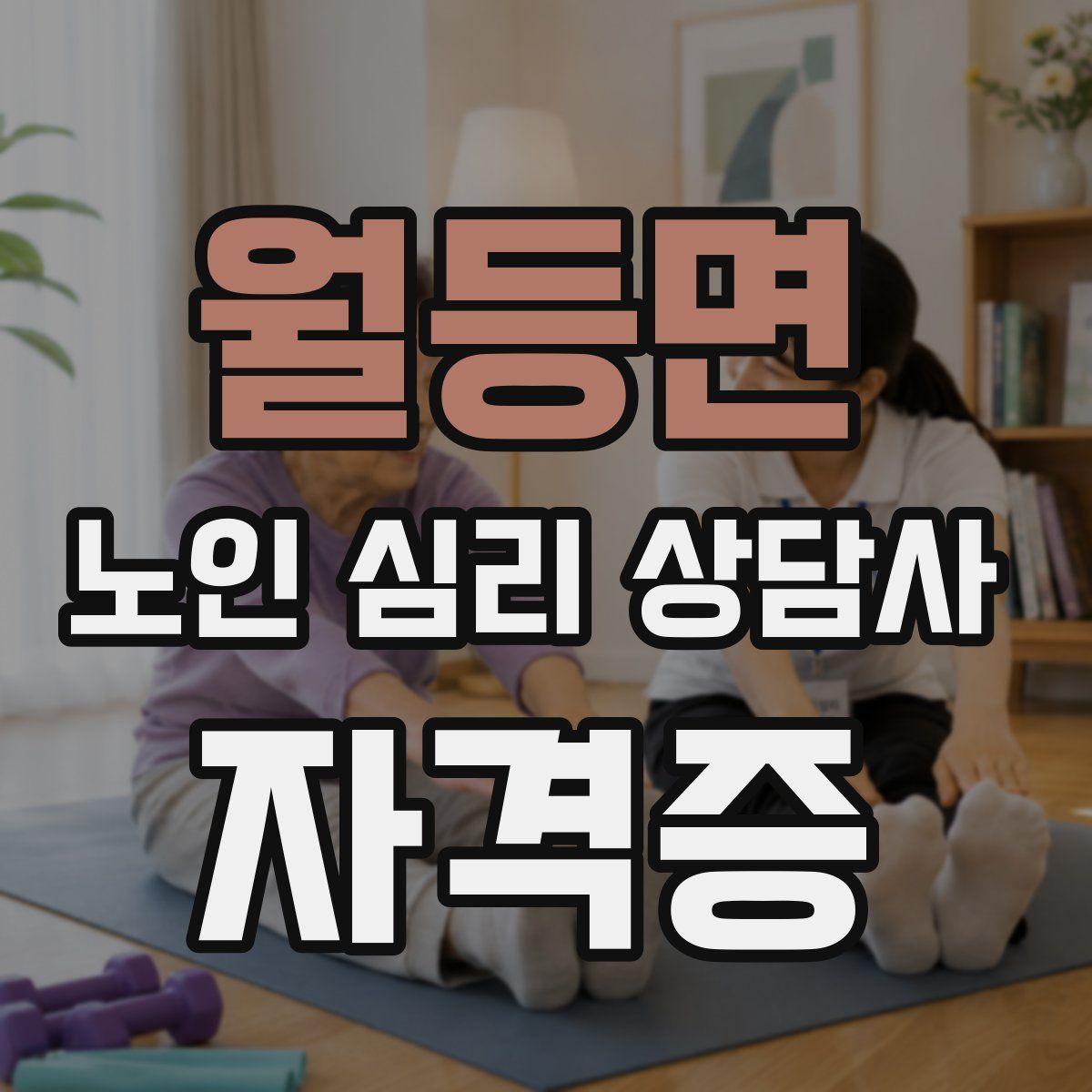 월등면 노인 심리 상담사 자격증