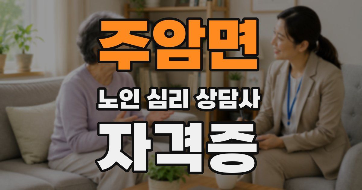 주암면 노인 심리 상담사 자격증