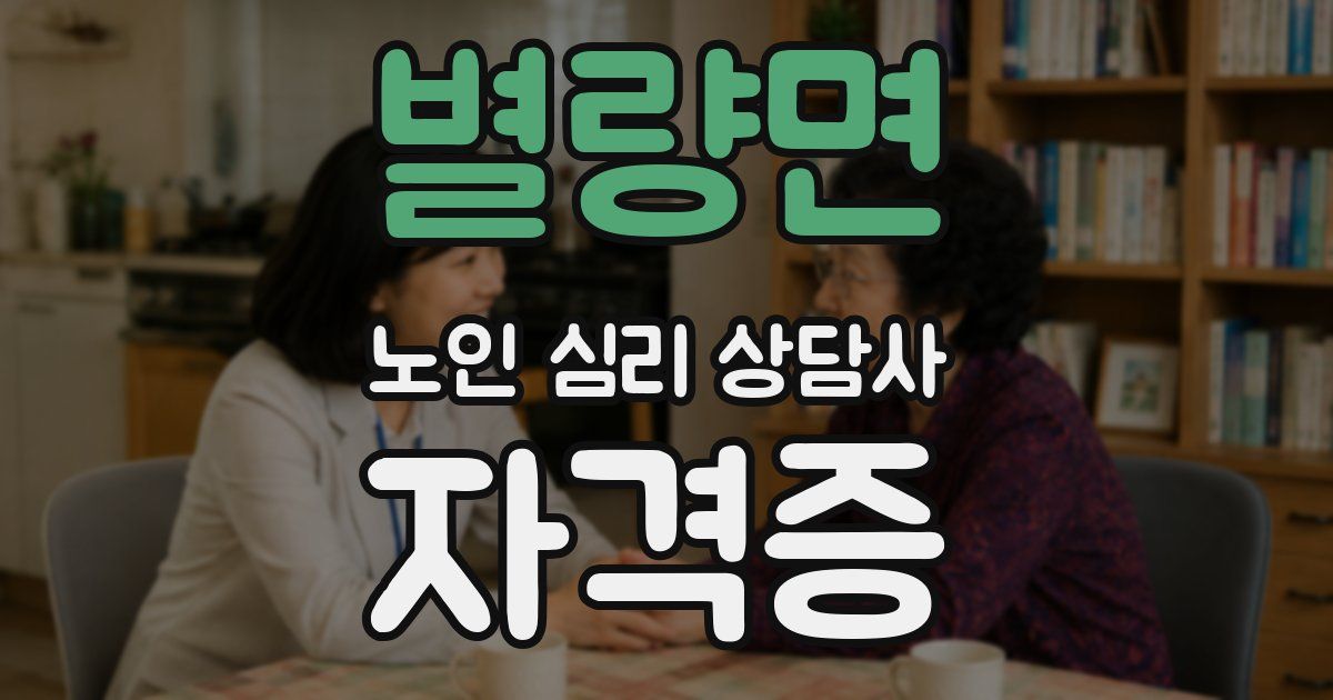 별량면 노인 심리 상담사 자격증
