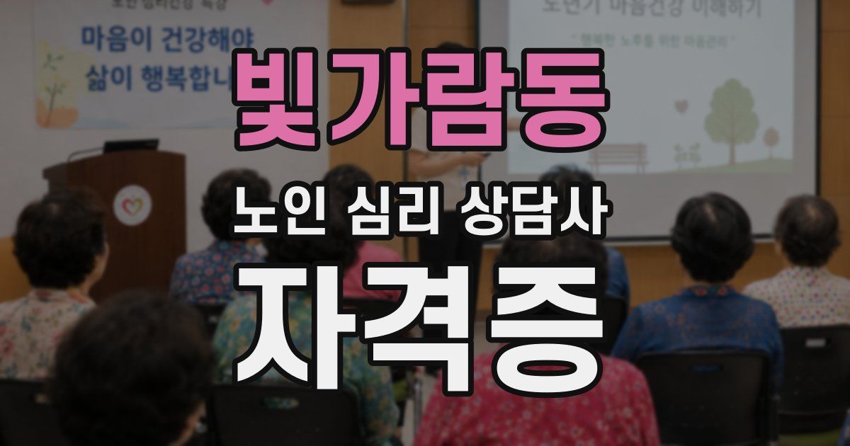 빛가람동 노인 심리 상담사 자격증