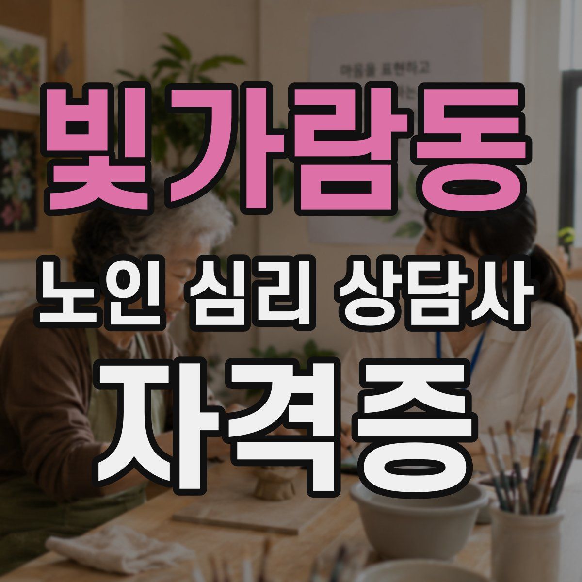빛가람동 노인 심리 상담사 자격증