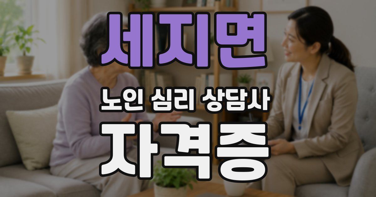 세지면 노인 심리 상담사 자격증