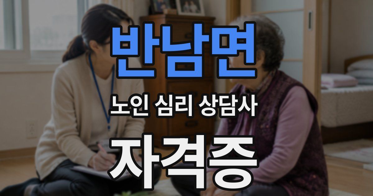 반남면 노인 심리 상담사 자격증