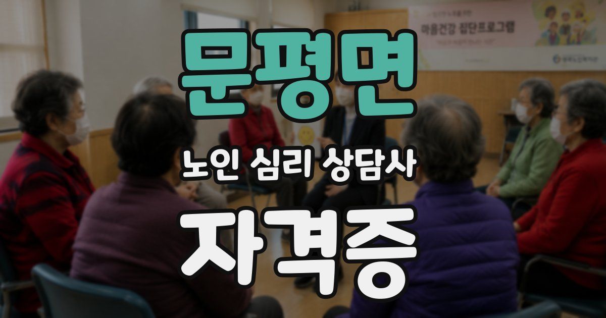 문평면 노인 심리 상담사 자격증