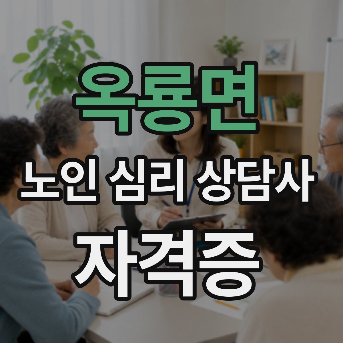 옥룡면 노인 심리 상담사 자격증