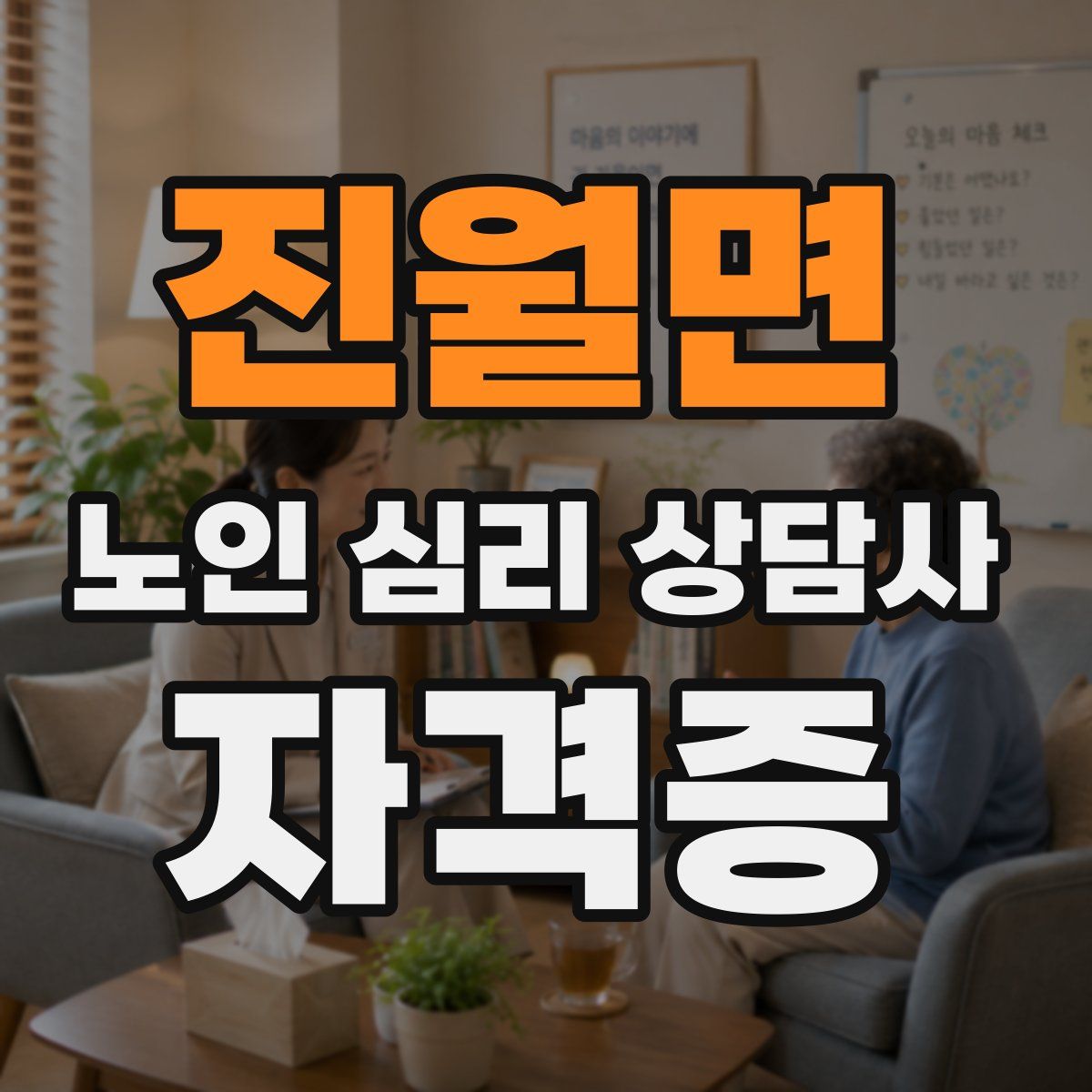 진월면 노인 심리 상담사 자격증