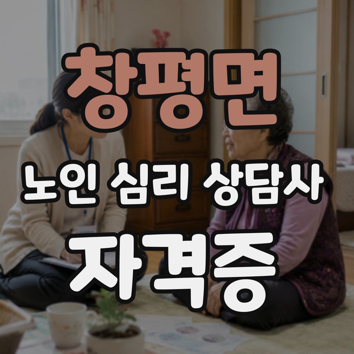 창평면 노인 심리 상담사 자격증