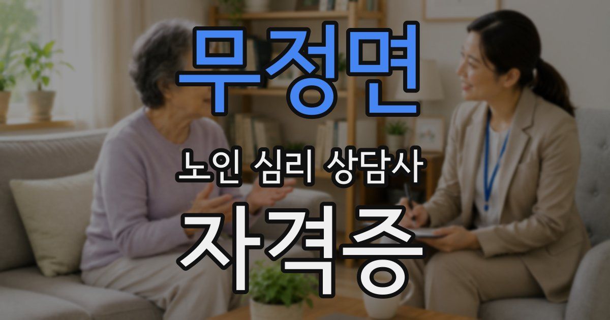 무정면 노인 심리 상담사 자격증