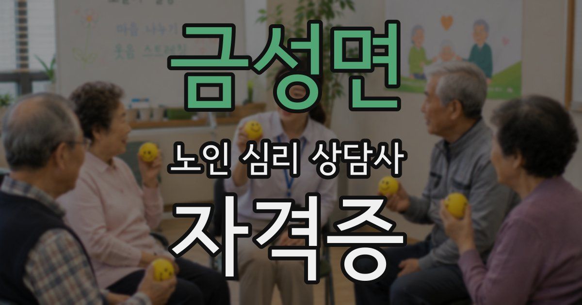 금성면 노인 심리 상담사 자격증