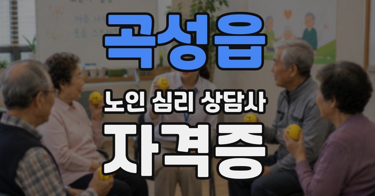 곡성읍 노인 심리 상담사 자격증
