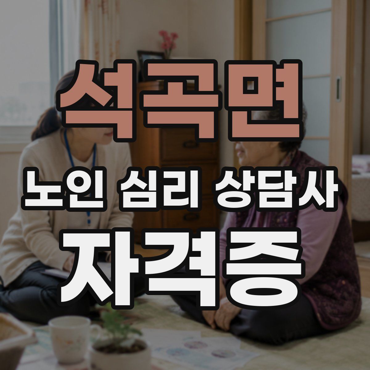 석곡면 노인 심리 상담사 자격증