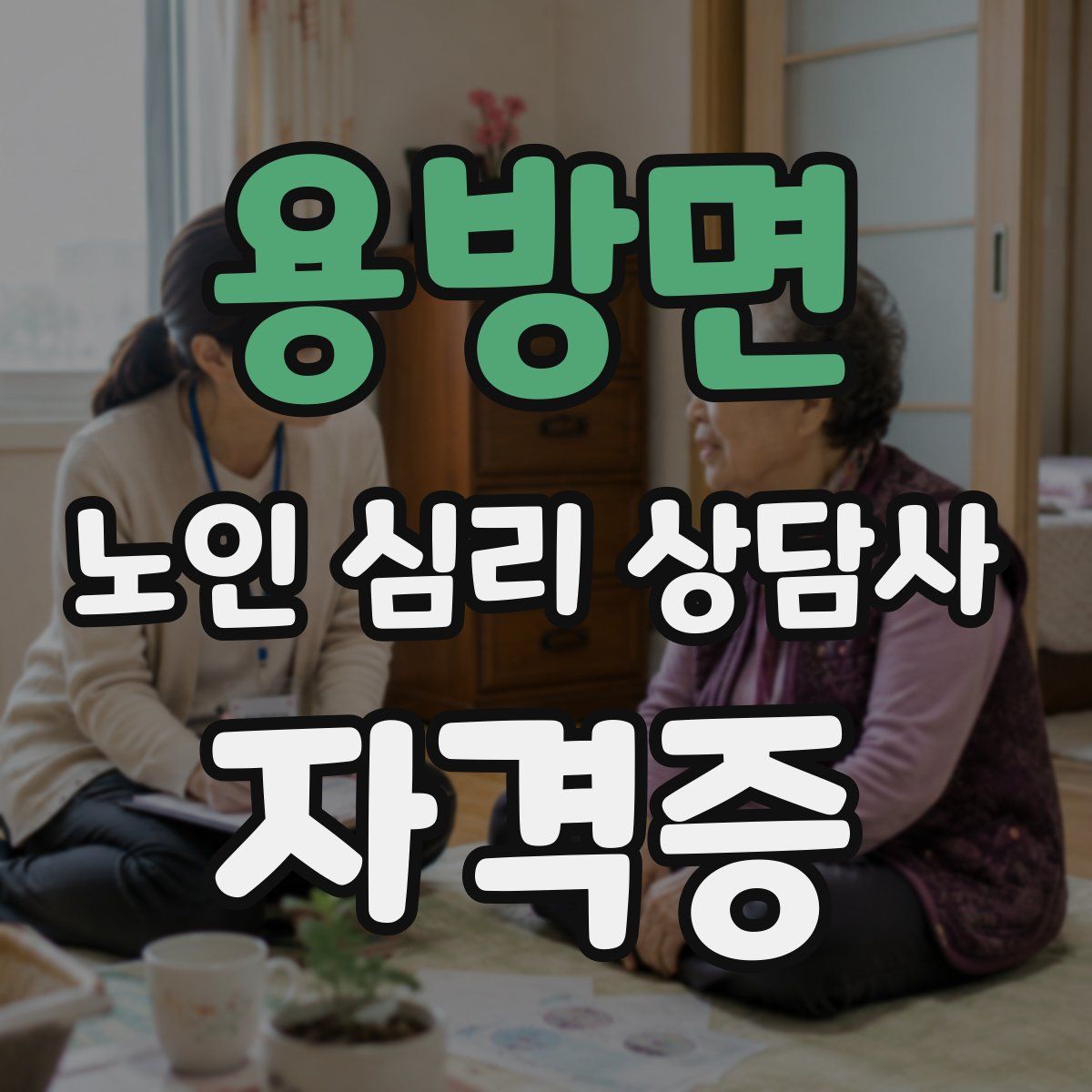 용방면 노인 심리 상담사 자격증