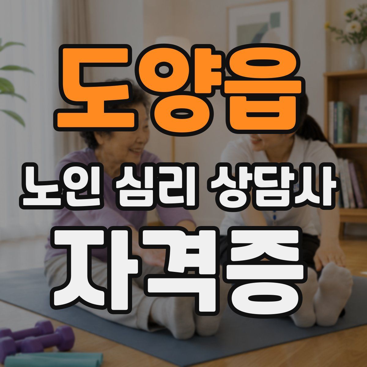 도양읍 노인 심리 상담사 자격증