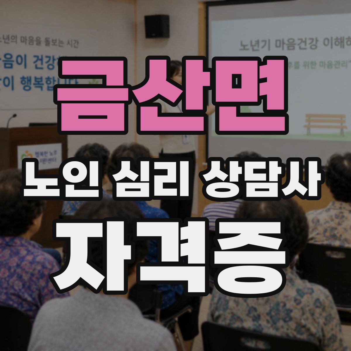 금산면 노인 심리 상담사 자격증