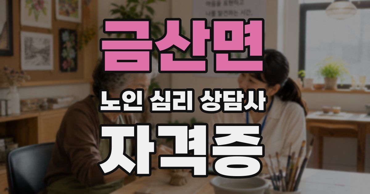 금산면 노인 심리 상담사 자격증