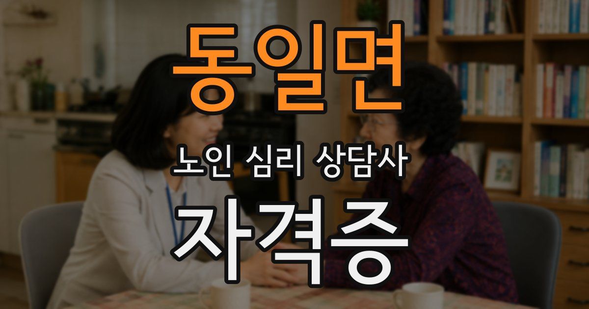 동일면 노인 심리 상담사 자격증