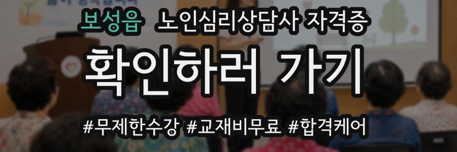 보성읍 노인 심리 상담사 자격증