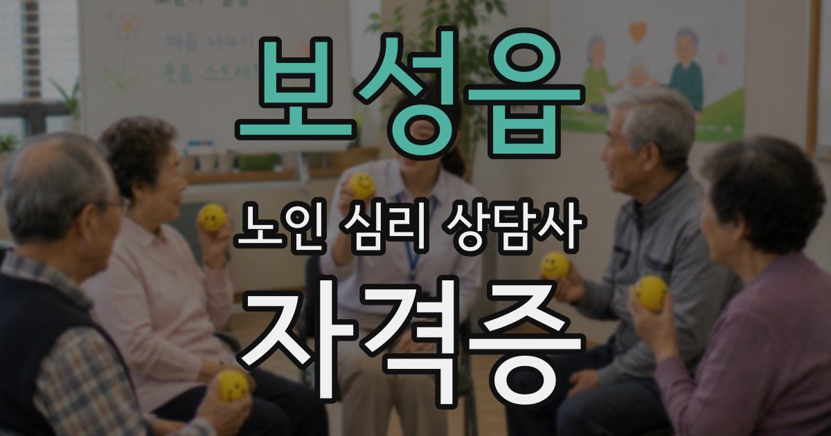 보성읍 노인 심리 상담사 자격증