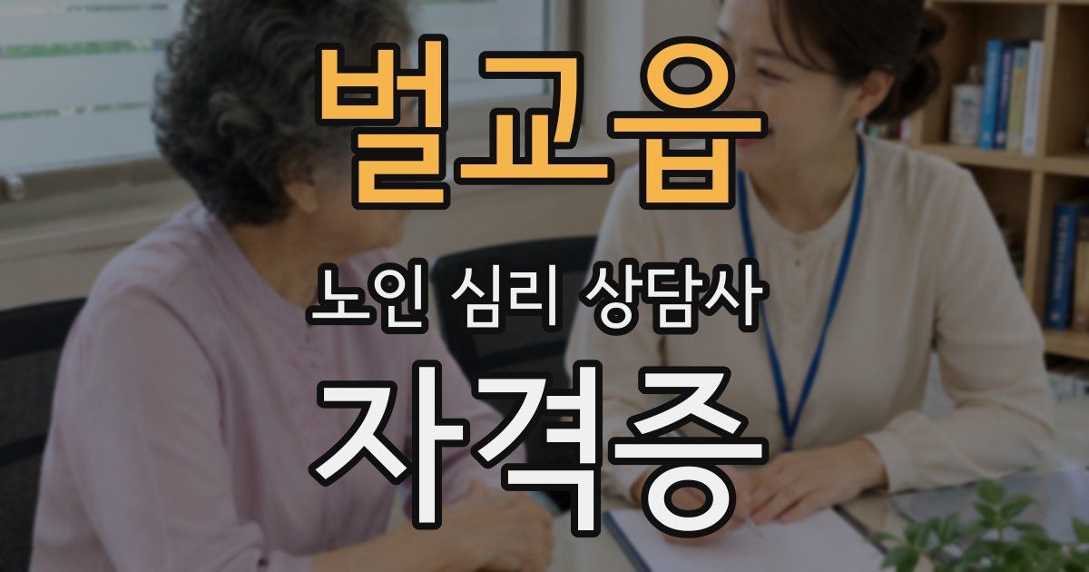 벌교읍 노인 심리 상담사 자격증