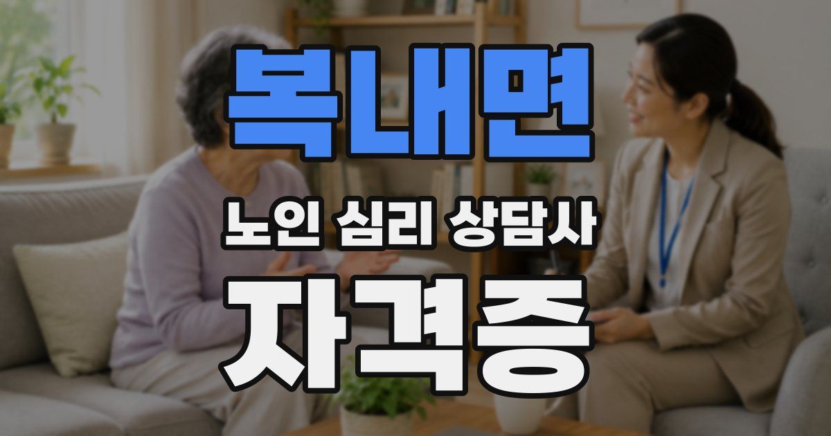 복내면 노인 심리 상담사 자격증