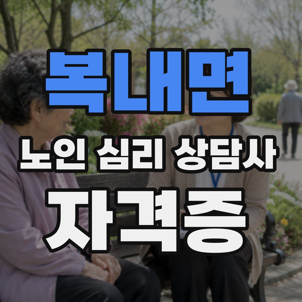 복내면 노인 심리 상담사 자격증