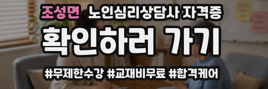 조성면 노인 심리 상담사 자격증