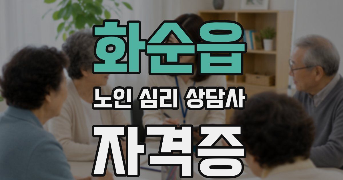 화순읍 노인 심리 상담사 자격증