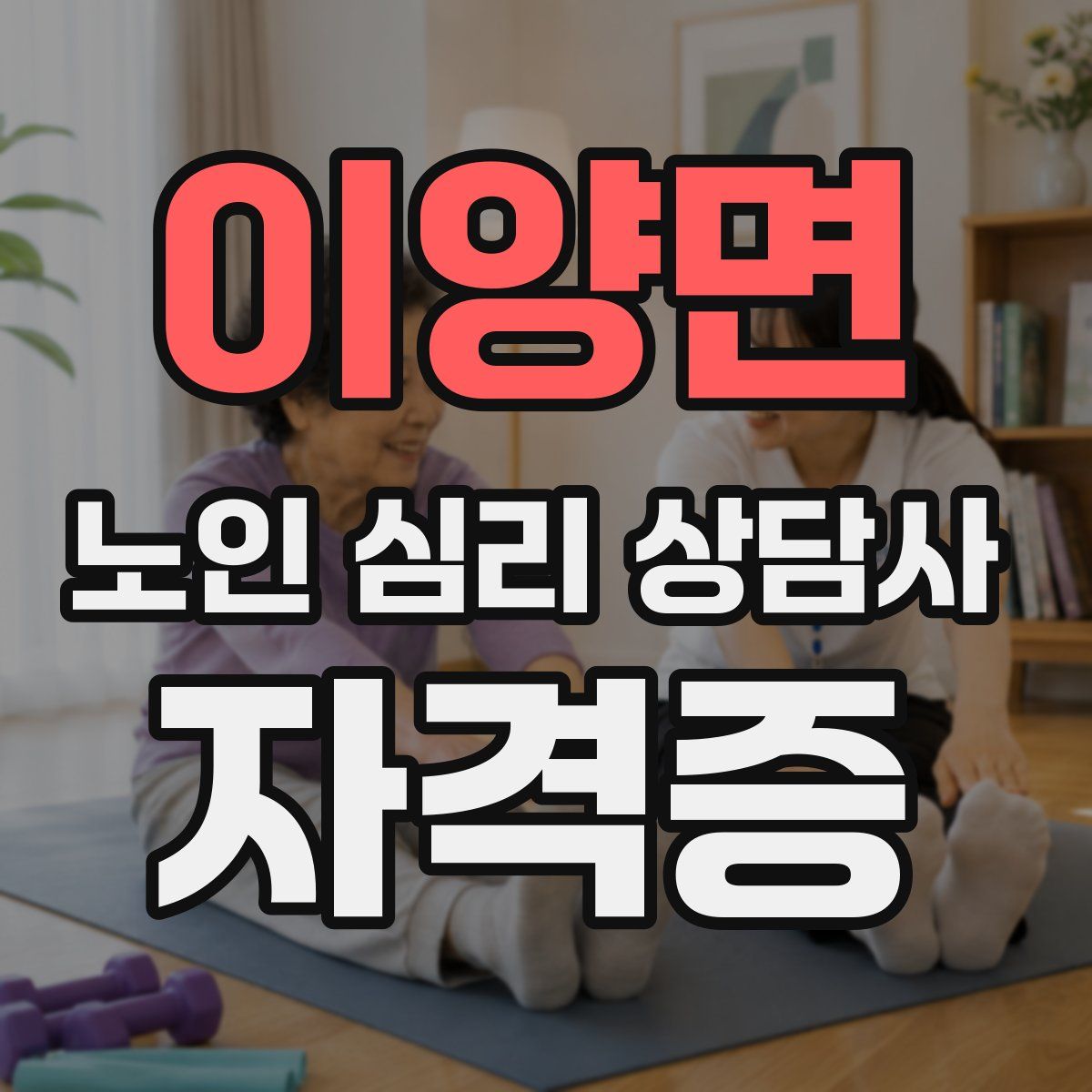이양면 노인 심리 상담사 자격증