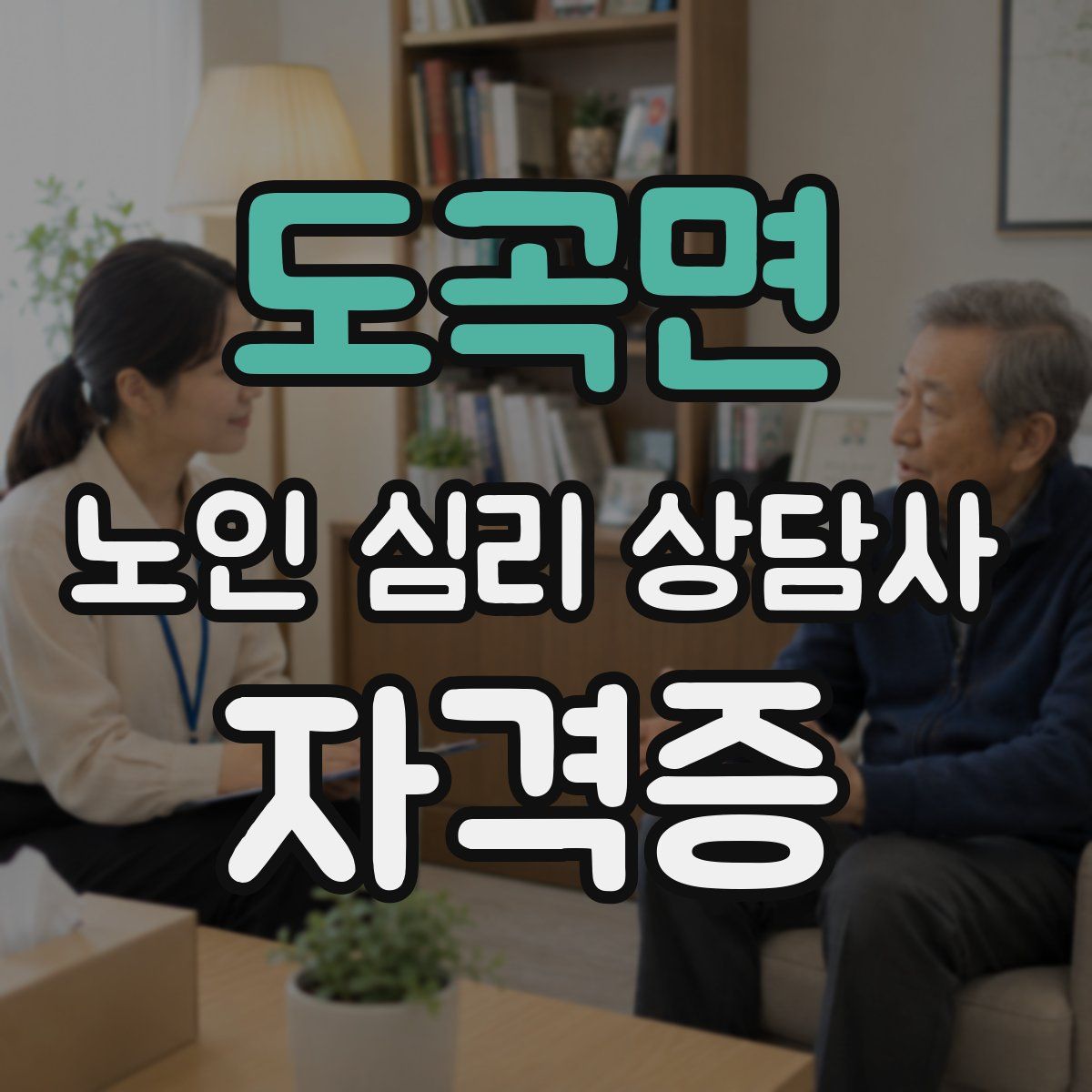 도곡면 노인 심리 상담사 자격증