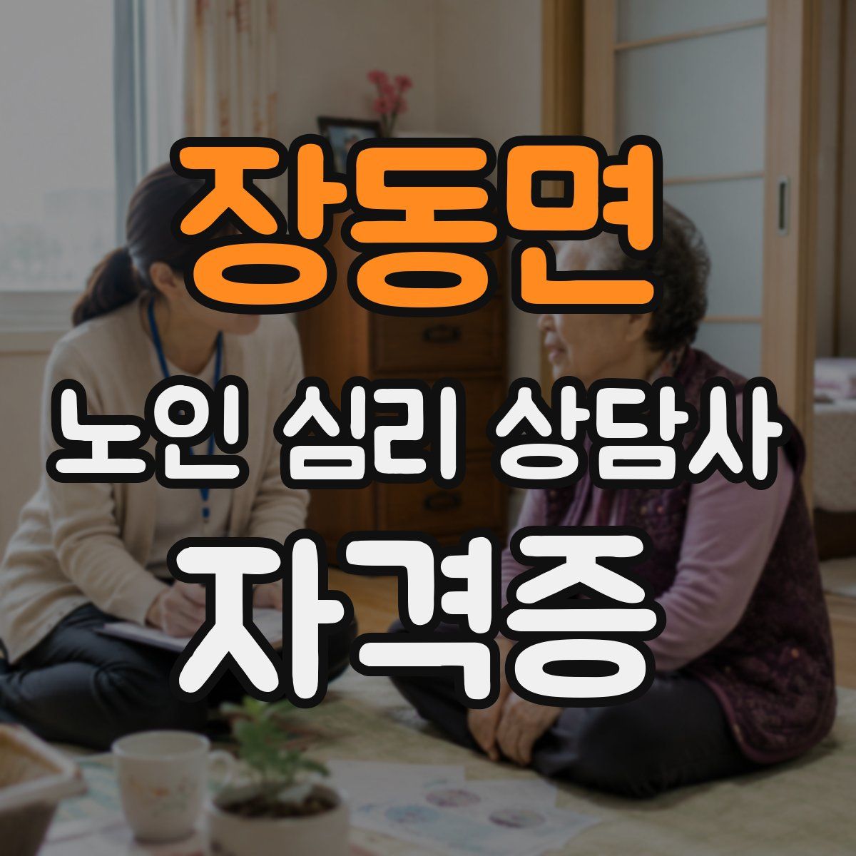 장동면 노인 심리 상담사 자격증