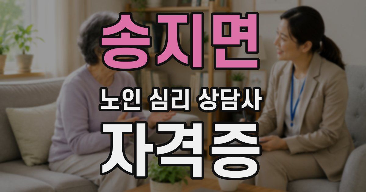 송지면 노인 심리 상담사 자격증