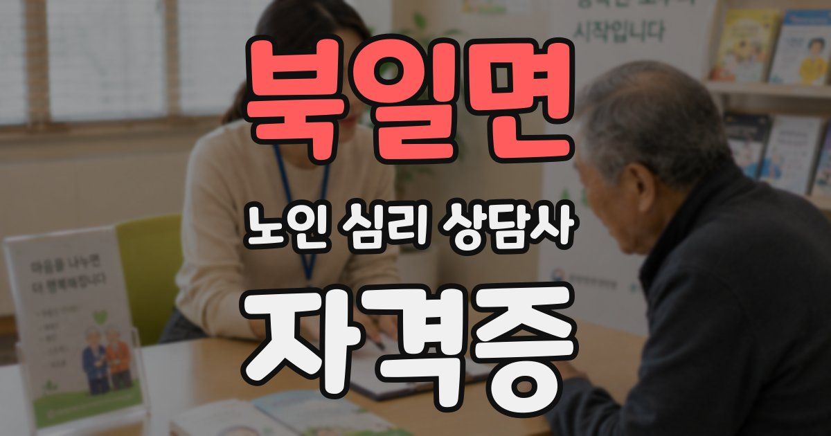 북일면 노인 심리 상담사 자격증