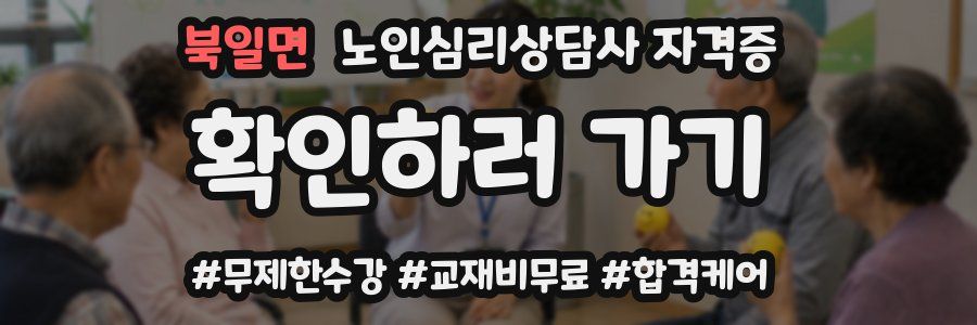 북일면 노인 심리 상담사 자격증