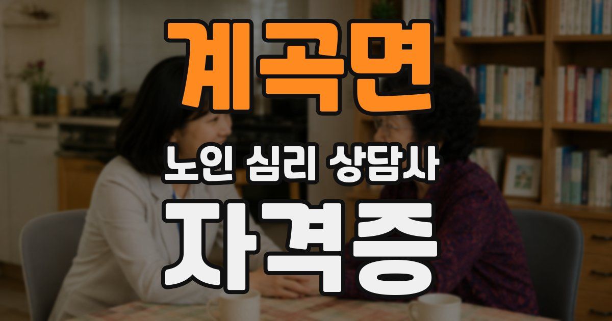계곡면 노인 심리 상담사 자격증