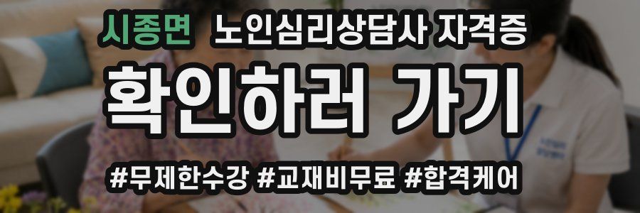 시종면 노인 심리 상담사 자격증