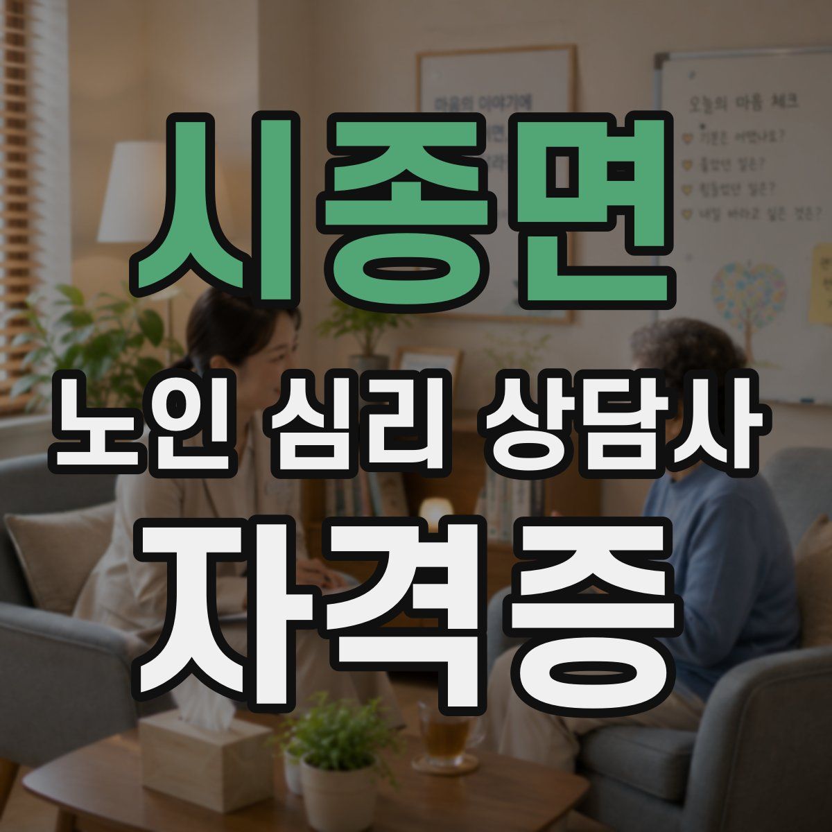 시종면 노인 심리 상담사 자격증