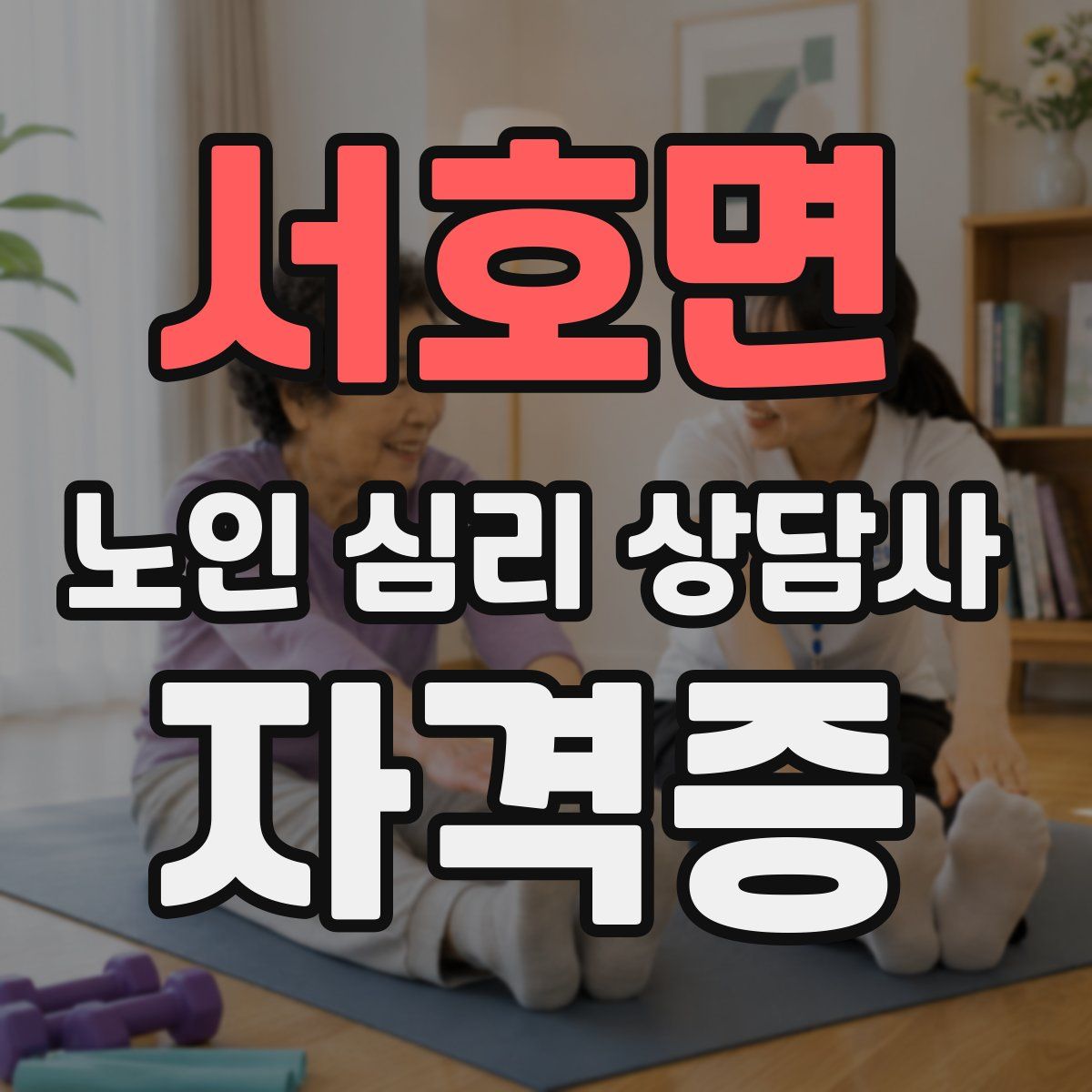 서호면 노인 심리 상담사 자격증