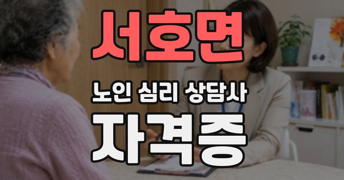 서호면 노인 심리 상담사 자격증