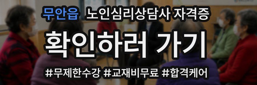 무안읍 노인 심리 상담사 자격증