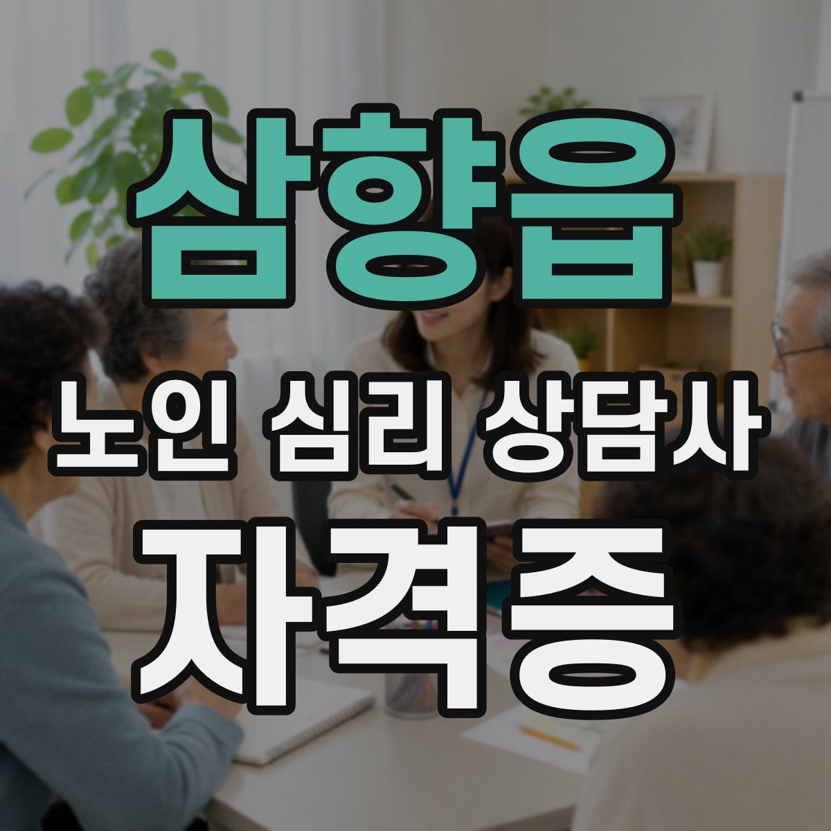 삼향읍 노인 심리 상담사 자격증