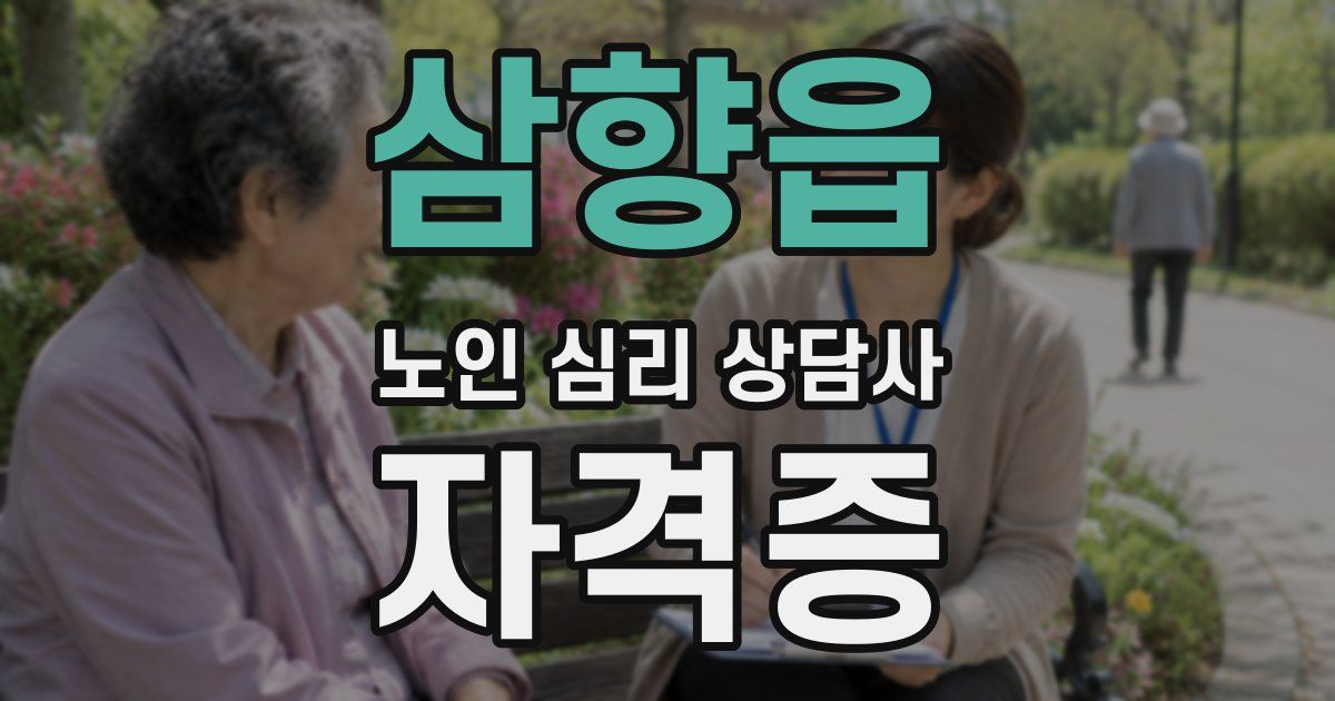삼향읍 노인 심리 상담사 자격증