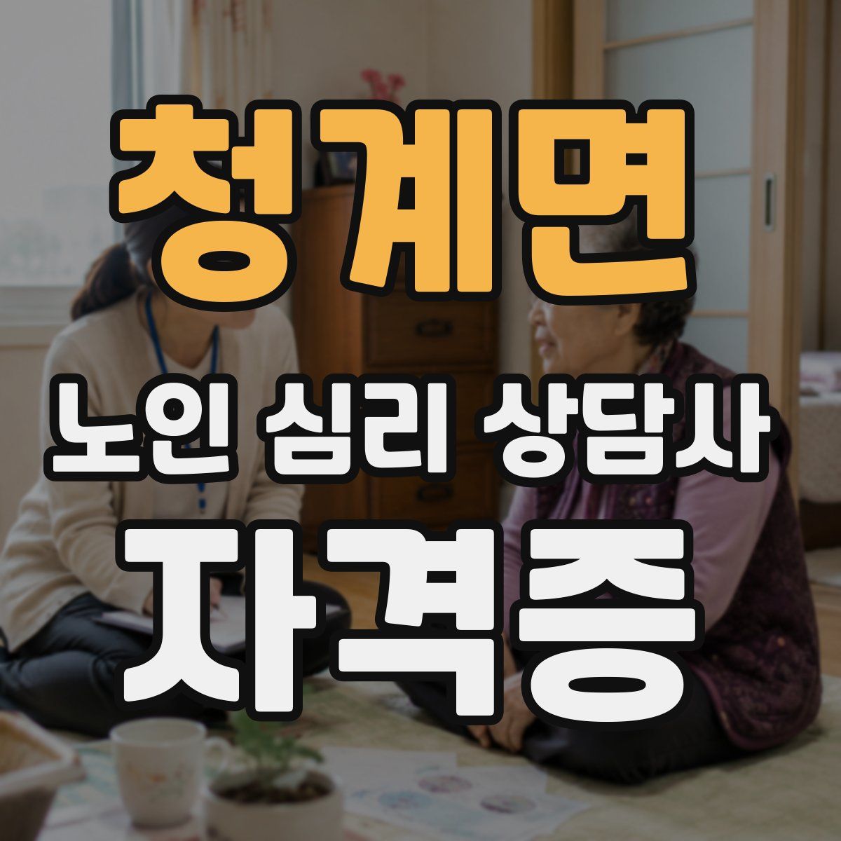 청계면 노인 심리 상담사 자격증