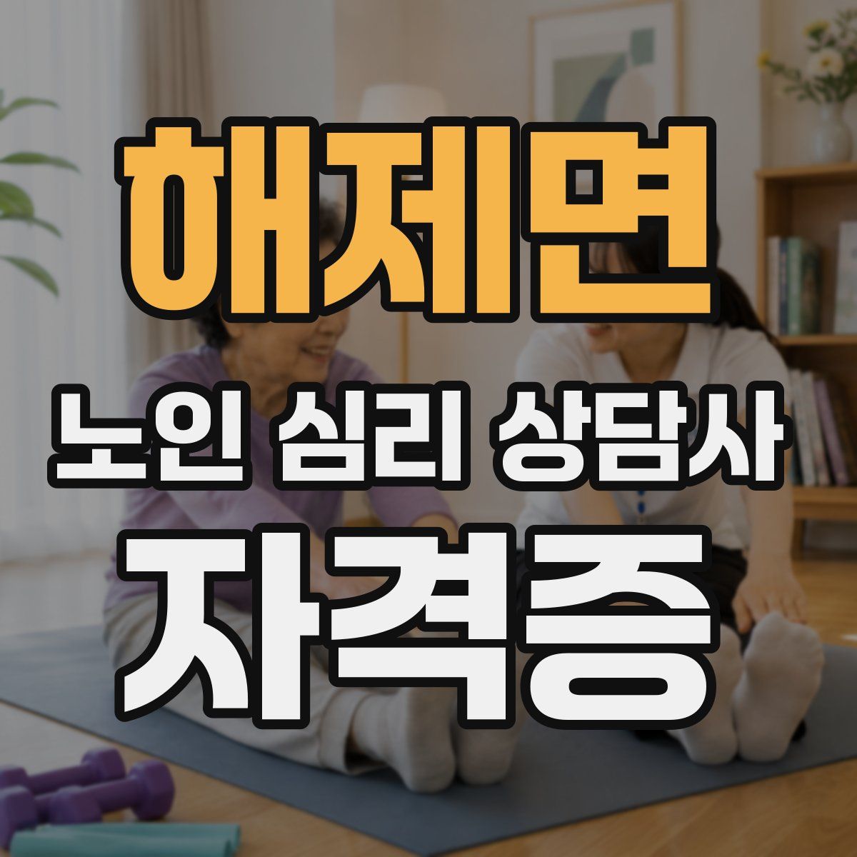 해제면 노인 심리 상담사 자격증