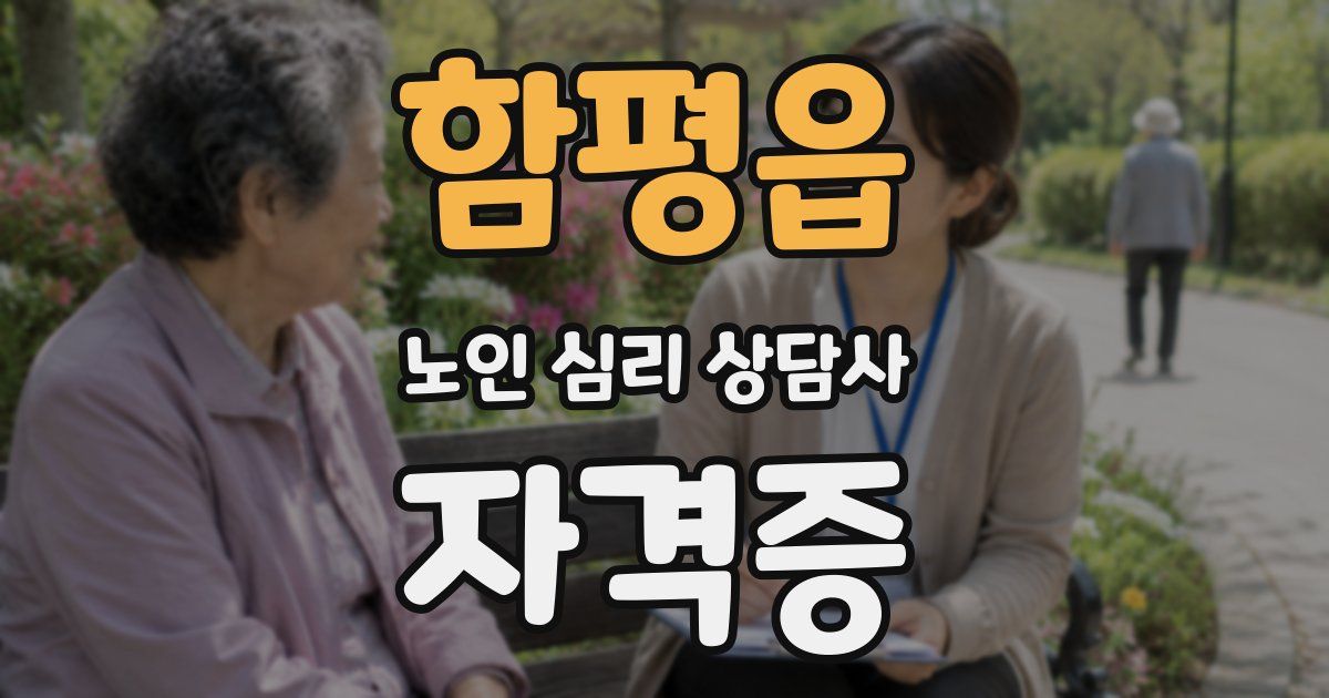 함평읍 노인 심리 상담사 자격증