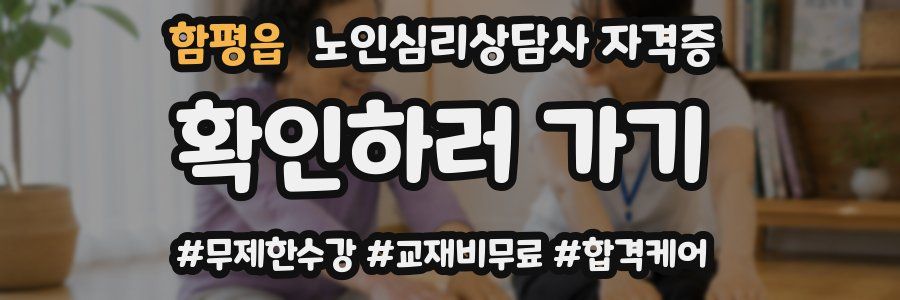 함평읍 노인 심리 상담사 자격증