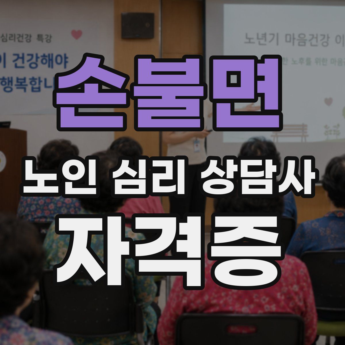손불면 노인 심리 상담사 자격증