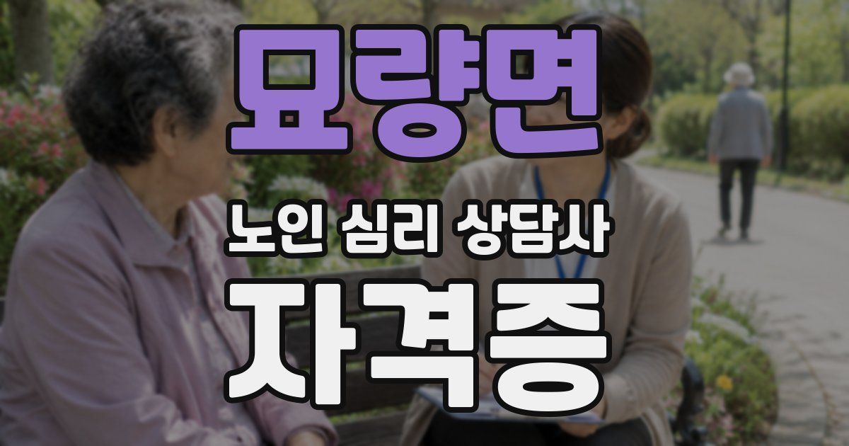 묘량면 노인 심리 상담사 자격증