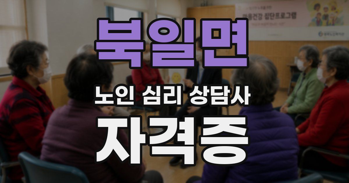 북일면 노인 심리 상담사 자격증
